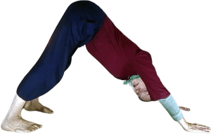 Mahashakti zeigt die Yoga-Übung "der Hund"
