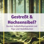 Selbsthilfeprogramm für Gestresste und Hochsensible