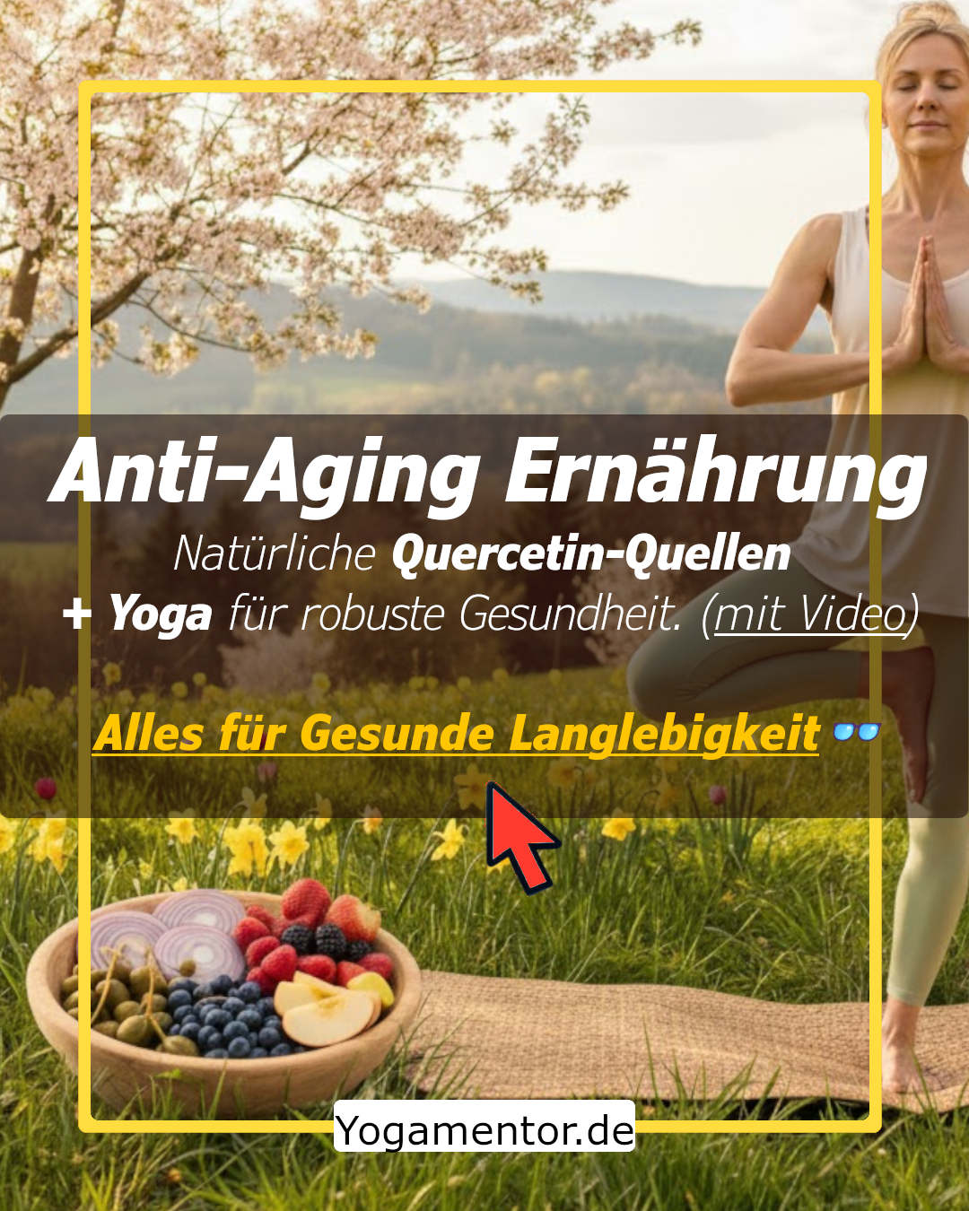 Natürliche Anti-Aging-Ernährung - 8 Quercetin-reiche Lebensmittel + Alternativen zu Supplements für robuste Gesundheit (Mit Video)