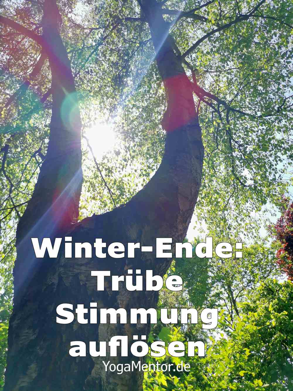 Wintermüdigkeit am Winter-Ende - Trübe Stimmung auflösen