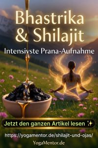 Bhastrika und Shilajit - intensivste Prana aufnahme