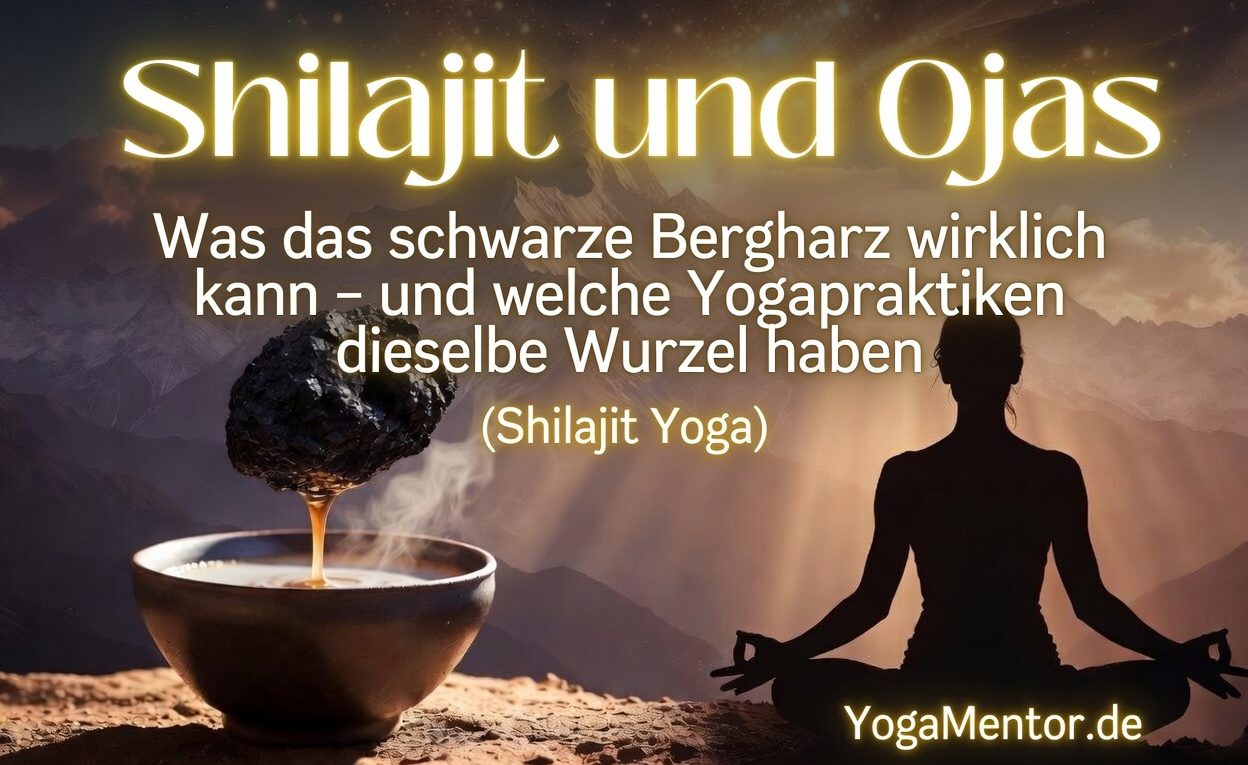 Shilajit und Ojas - Ojas aufbauen mit Shilajit - Was das Bergharz wirklich kann und welche Yogapraktiken passen