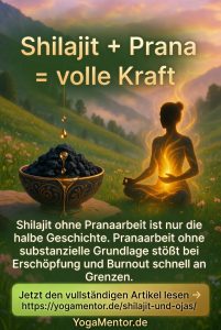 Shilajit und Prana - Volle Kraft voraus
