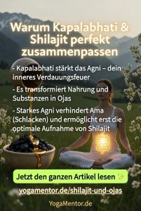 Warum Kapalbhati und Shilajit perfekt zusammen passen